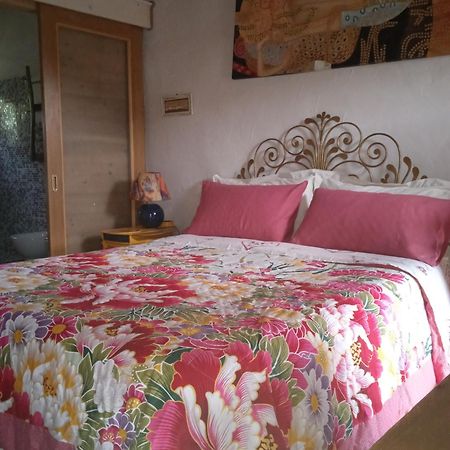Poggio Del Sole Bed & Breakfast Bassano del Grappa Luaran gambar