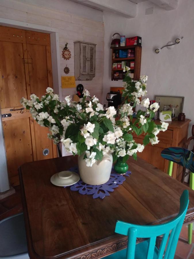 Poggio Del Sole Bed & Breakfast Bassano del Grappa Luaran gambar