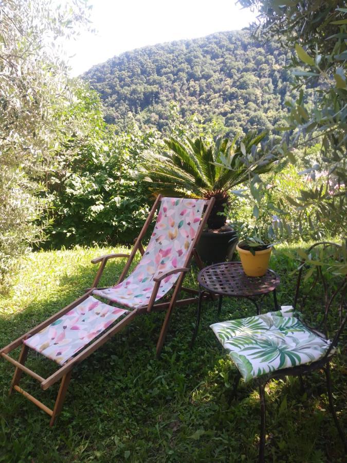 Poggio Del Sole Bed & Breakfast Bassano del Grappa Luaran gambar